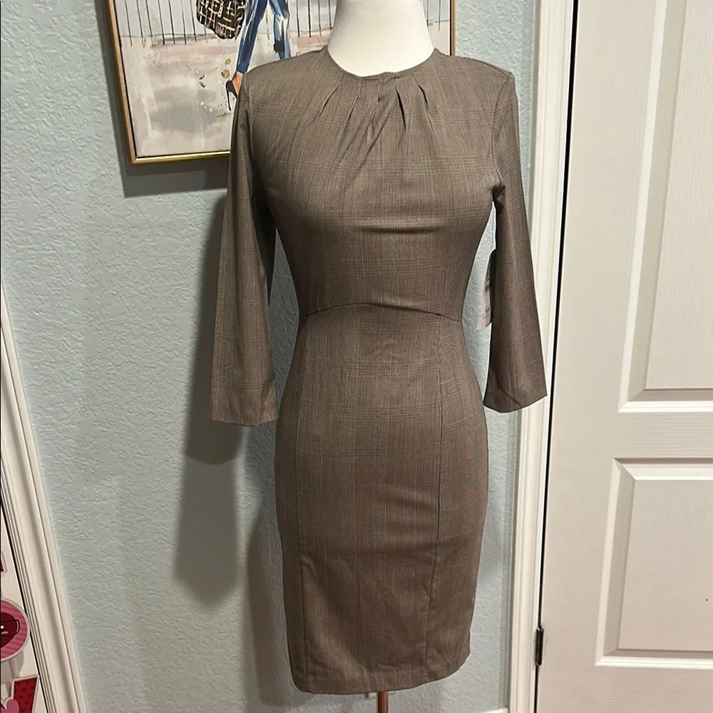 Zara Sz Small Chic Brown Sheath Dress • NWT! - Picture 1 of 15